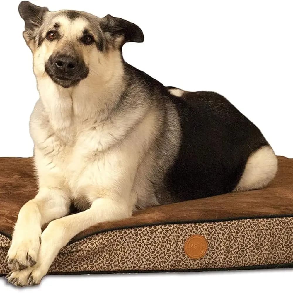Letto per cani ortopedico di lusso con stampa ossea Mocha - Grande 40 x 50