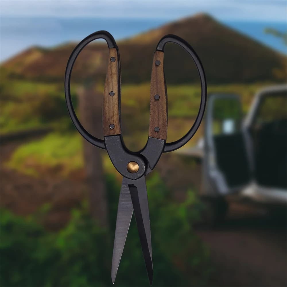 Stainless steel scissors Gardening plant branches Flower pots Fruit trees power Manual tools Bonsai scissors tools