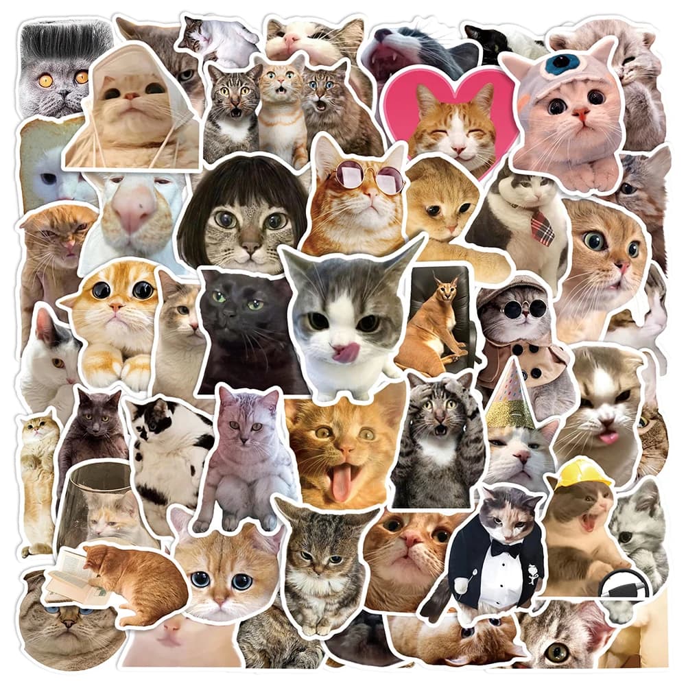 10/30/50pcs Cute Cartoon Divertente Gatto Meme Adesivi Decalcomanie FAI DA TE Notebook Del Computer Portatile Frigo Chitarra Telefono Adesivo Impermeabile giocattoli per bambini