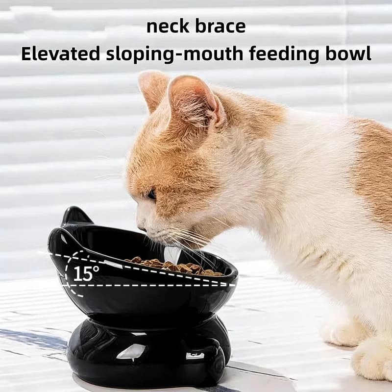 Ciotola in Ceramica per Gatti con Design a Piedi Alti Diagonali, Protezione della Colonna Cervicale, Ciotola per Cibo e Acqua per Cani e Gatti, Accessori per Animali Domestici