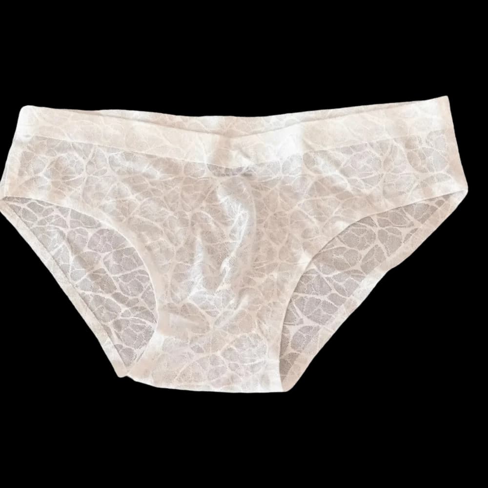 Underpants 3D Bulge Pouch Men's Underwear Lingerie Transparent Mesh Panties Thin Low Waist Triangle Panties Male
