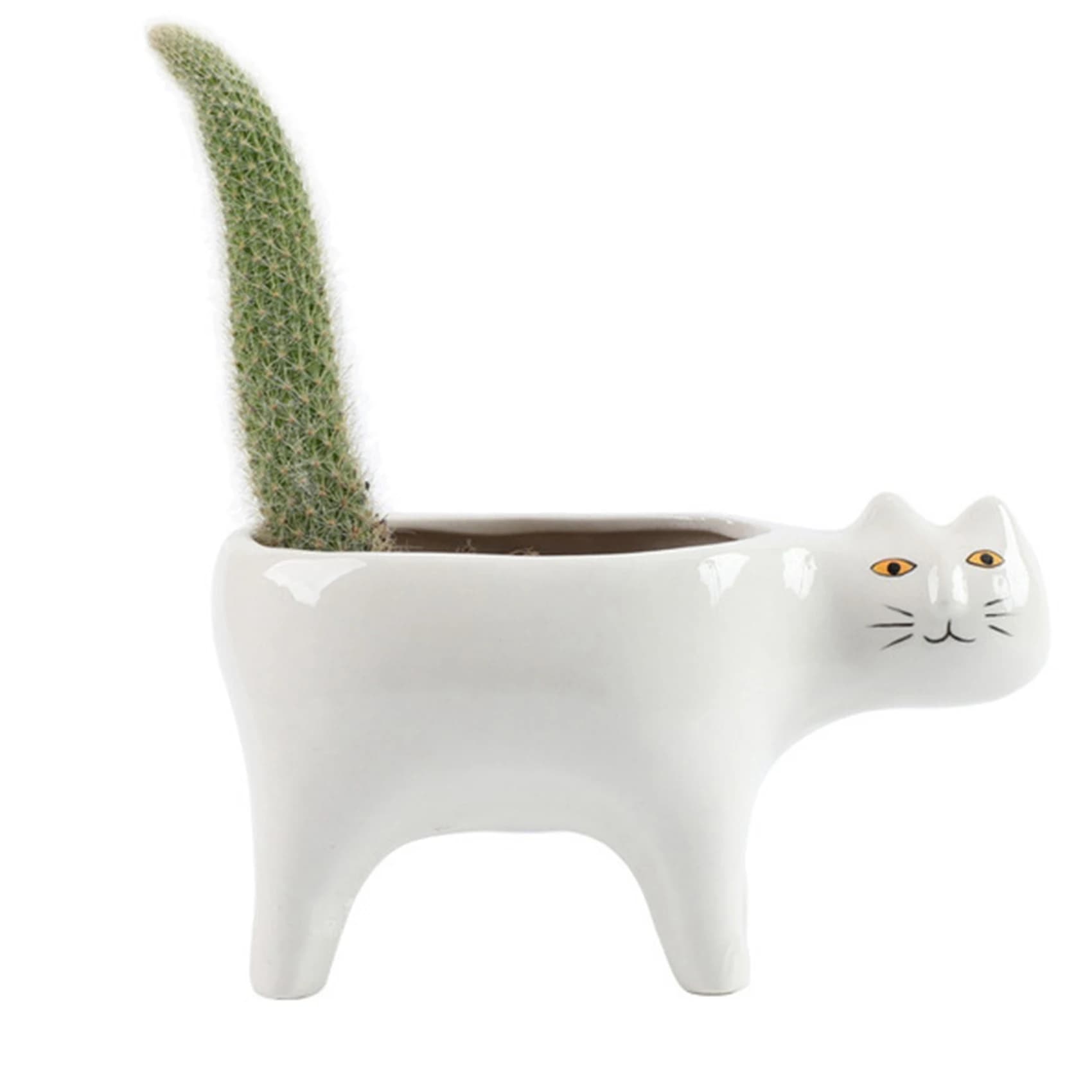 Simpatico gatto in ceramica da giardino vaso da fiori immagine animale cactus pianta fioriera contenitore per piante grasse decorazione da tavolo bianco