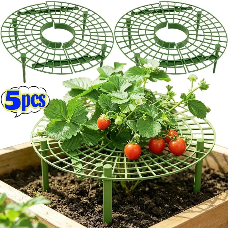 Supporto Intrecciato Anti-Marciume per Fragole, Vassoio a Rete per Protezione Frutta, Rastrelliera per Piante Rampicanti, Accessori per Balcone