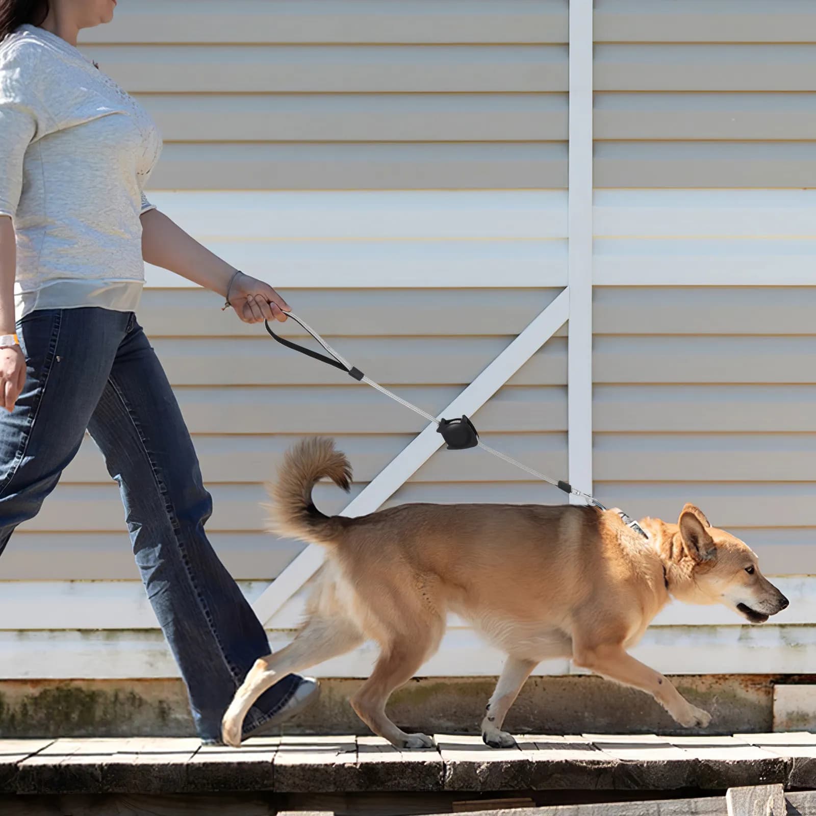 Guinzaglio Retrattile Automatico per Cani e Gatti, Corda Telescopica Nera Resistente con Impugnatura Comoda per Addestramento