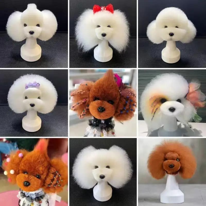 Pratica professionale per lo styling degli animali parrucchino Testa cane Modello per l'addestramento alla toelettatura JOMD