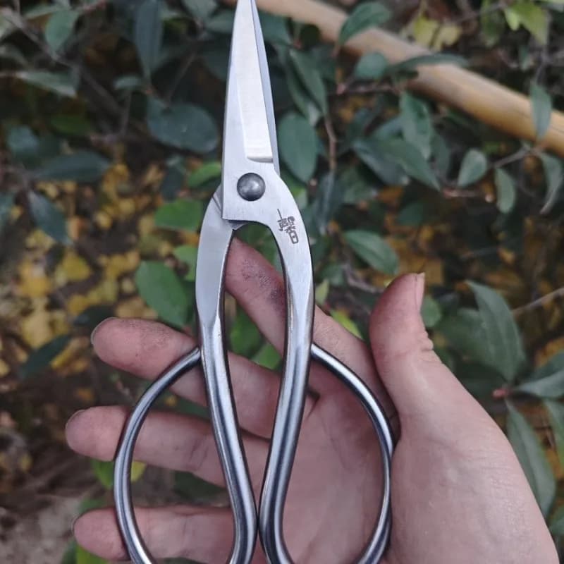 Stainless Steel Shelving Shelves Thin Brake Sheets Potting Shears For Pot Plants Portable Hand Tools for Home