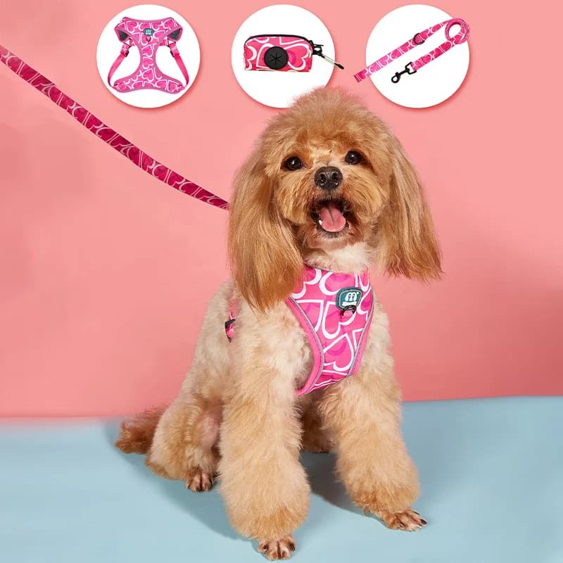 3 pcs/set Heart of Love Printing High Quality Adjuatbale Pink Color Red Pettorine for Dogs Guinzagli and Cacca Support Set for Bag for Walking