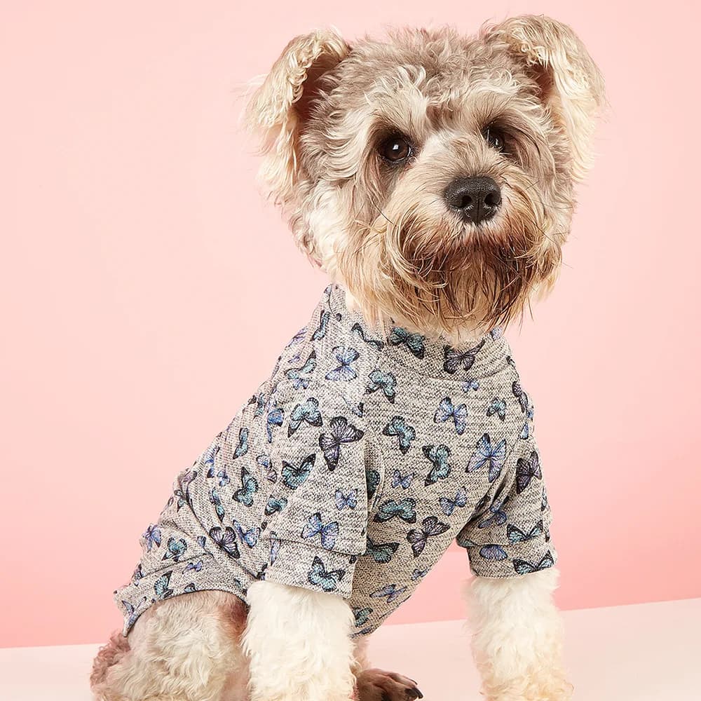 Cute Butterfly Print Pet Hoodie, Fashion Spring Autumn Dog Cat Clothes, New Pullover Puppy Kitten Sweatshirt, Small Dog Top