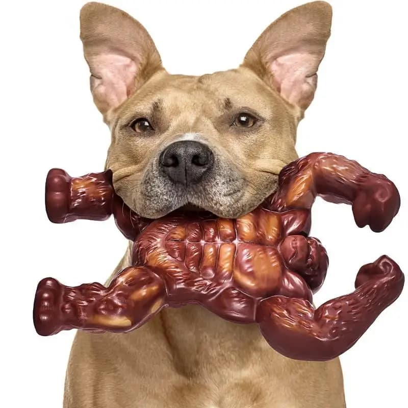 Beef Flavor Dog Chew Toy, Durable Nylon Teeth Grinding & Bite Resistant Bone, Anti Anxiety Stress Relief Training Pet Supplies