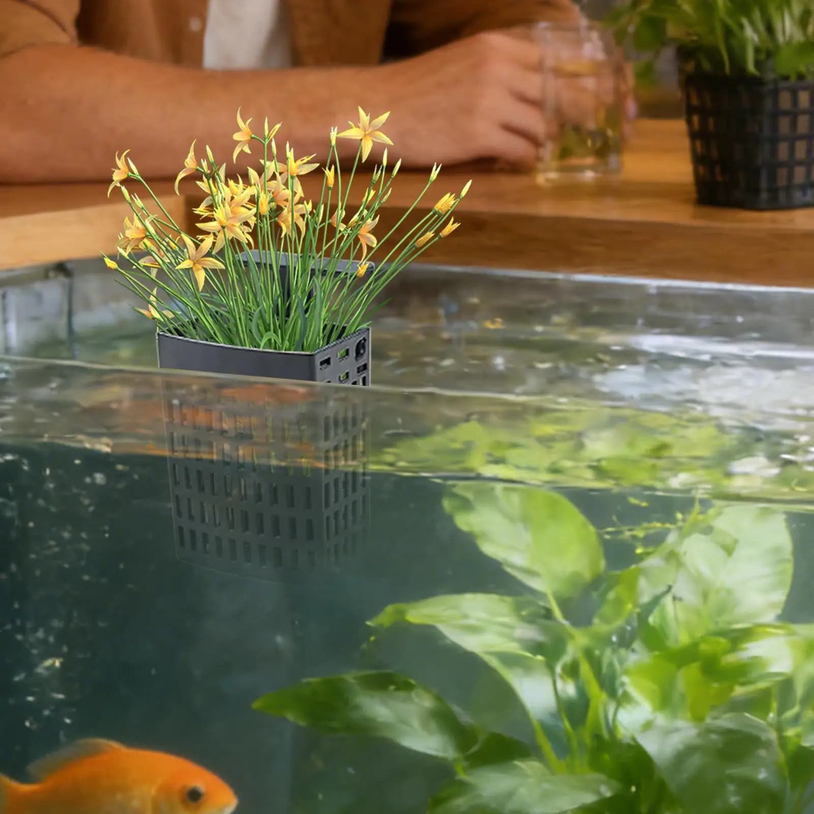 Supporto per piante per acquario, vaso per coltivazione ad altezza regolabile, fioriera per acquario con gancio estensibile e ventosa per acquario