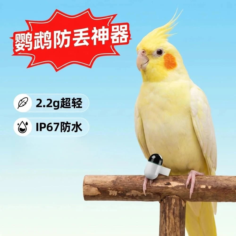 Ultra-light miniature bird locator, For Racing Carrier Pigeon Small Pet Cockatiel Outdoor Anti-Lost Training Accessories