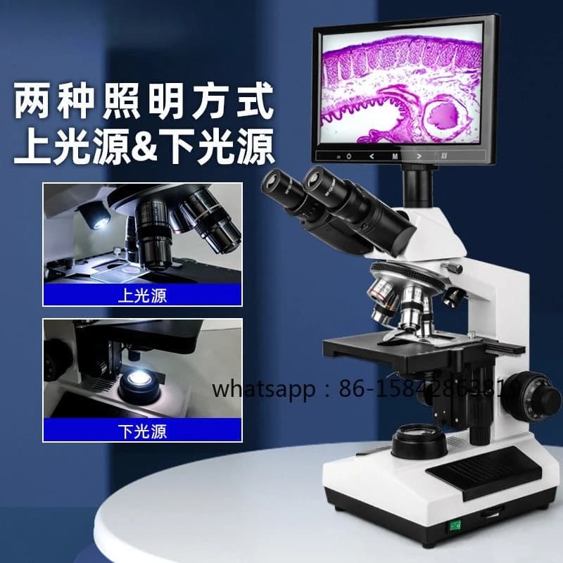 Microscopio Biologico Professionale ad Alta Definizione per Studenti delle Scuole Primarie e Secondarie, in Grado di Visualizzare Batteri