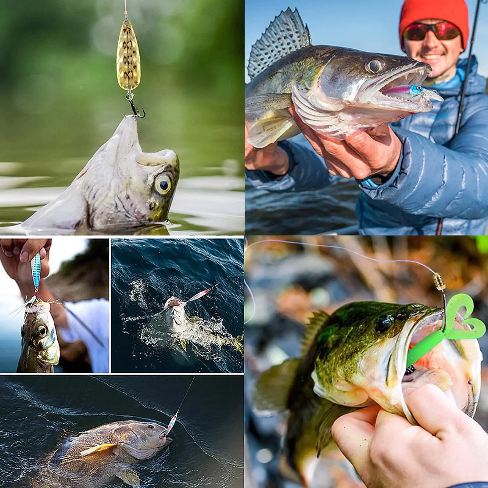 Fishing Equipment Box, bait container, Portable, Multifunctional, Waterproof, Fisherman's Accessories, Gift Idea