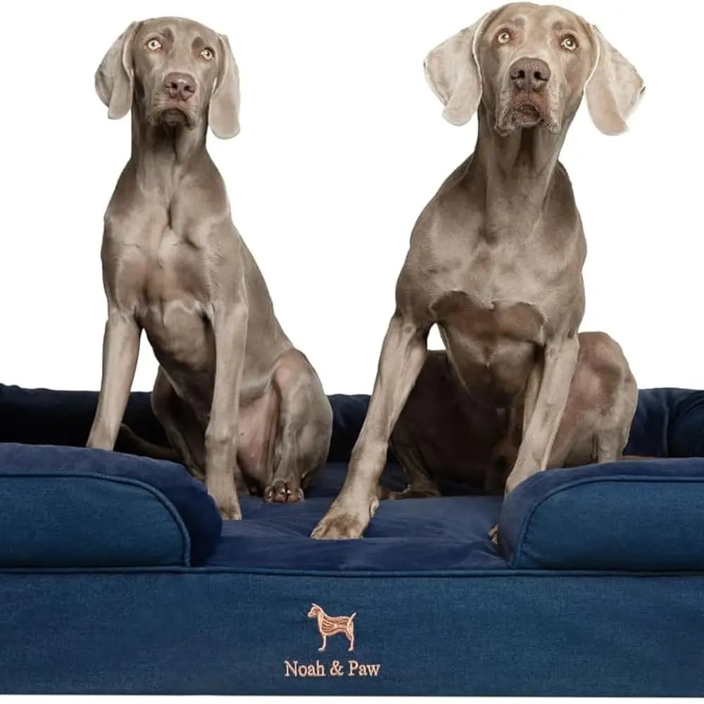 Letto gigante per cani XXL, 55x45x11 pollici, letti ortopedici per cani, memory foam in guscio d'uovo infuso con gel rinfrescante, copertura interna, impermeabile, M