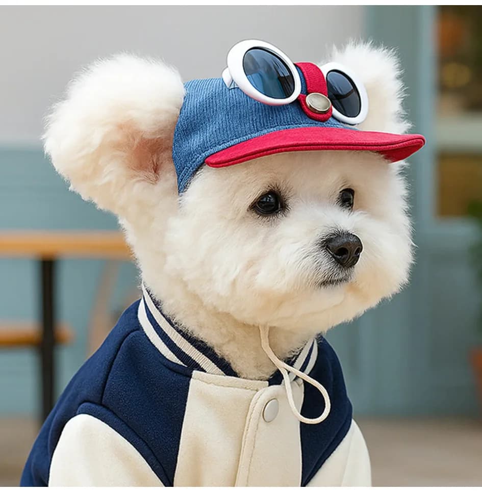 Set di cappello da sole alla moda in due pezzi e occhiali da sole alla moda per animali domestici, berretto da baseball per cani e copricapo per gatti