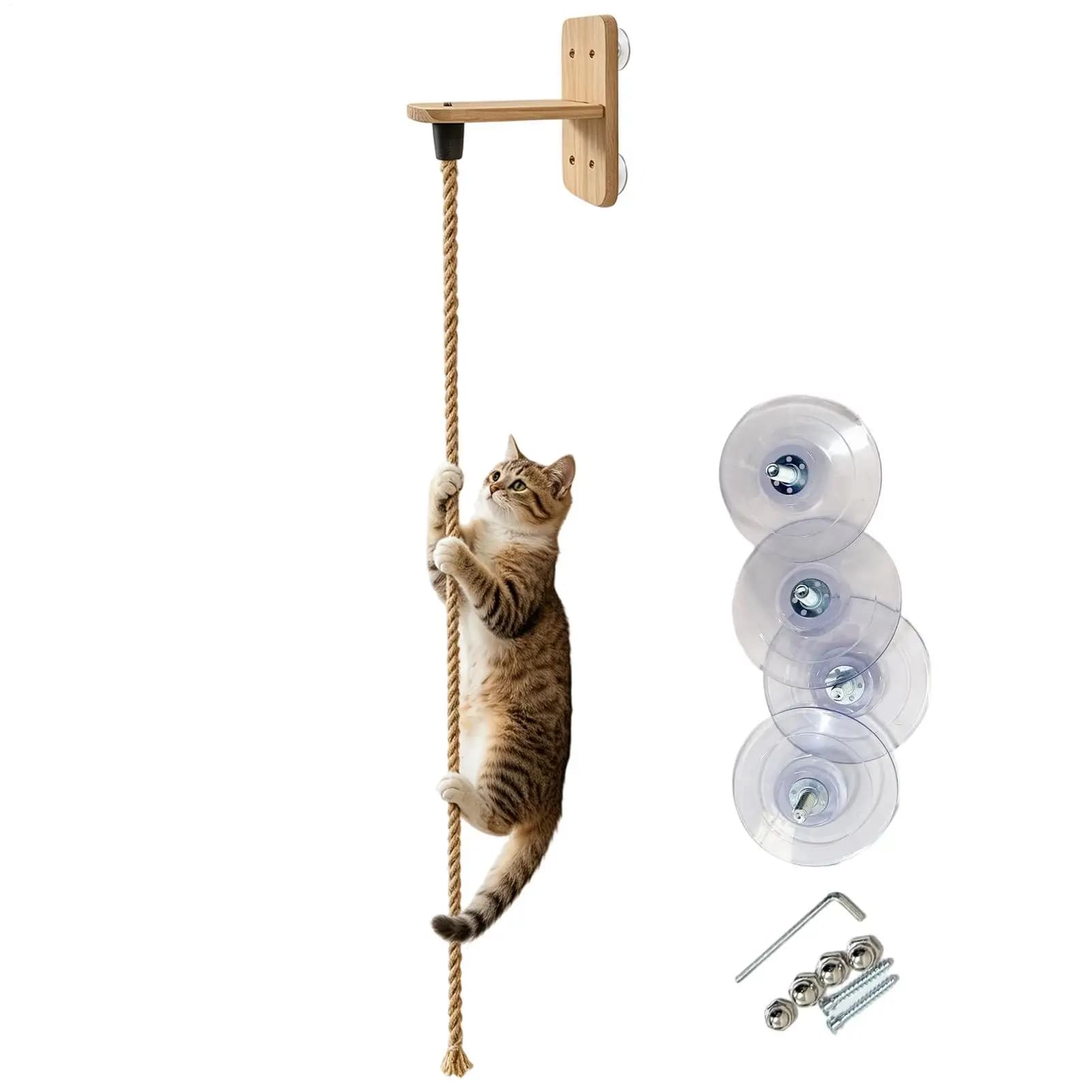 Sistema di arrampicata per gatti da 2 m, gioco interattivo resistente ai morsi con tavola per salti, mensole a parete con corda per gatti e gattini