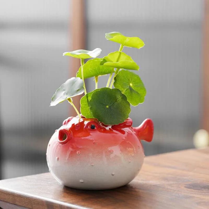 Simpatici delfini Ravanello verde Vaso per piante Vaso idroponico Pesce arrabbiato Artigianato in ceramica Ornamenti per desktop da ufficio Giardinaggio Arte Decorazioni per la casa