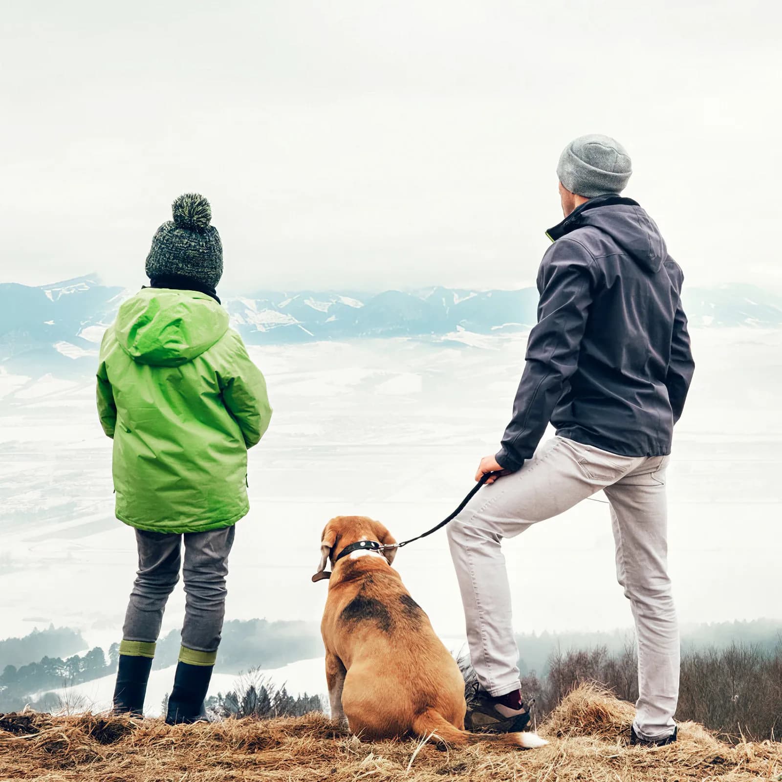Guinzaglio Elastico Riflettente in Nylon per Cani, Resistente, per Passeggiate, Corsa, Escursionismo, Campeggio e Uso Quotidiano, per Cani Piccoli e Medi