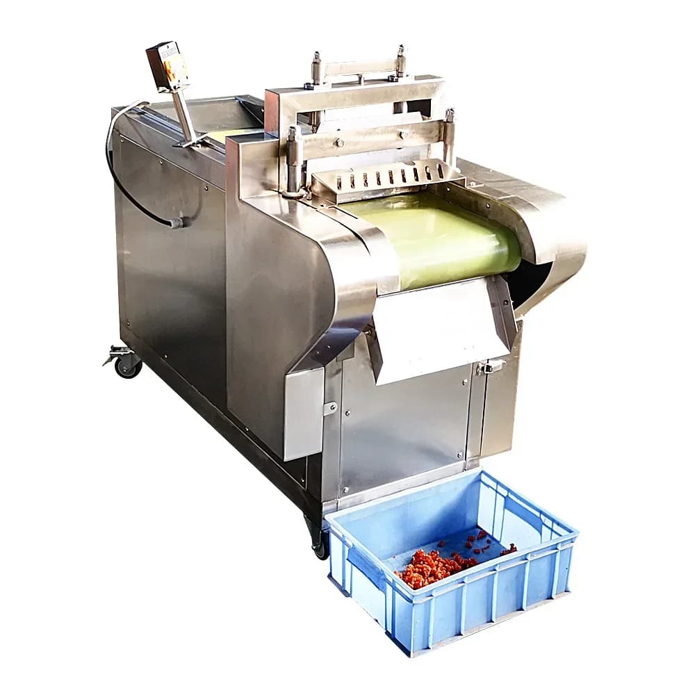 Macchina Industriale per Tagliare a Cubetti Frutta e Verdura Essiccata in Acciaio Inox 304 DF1000, per Albicocche, Mango, Prugne, Fichi - Prezzo