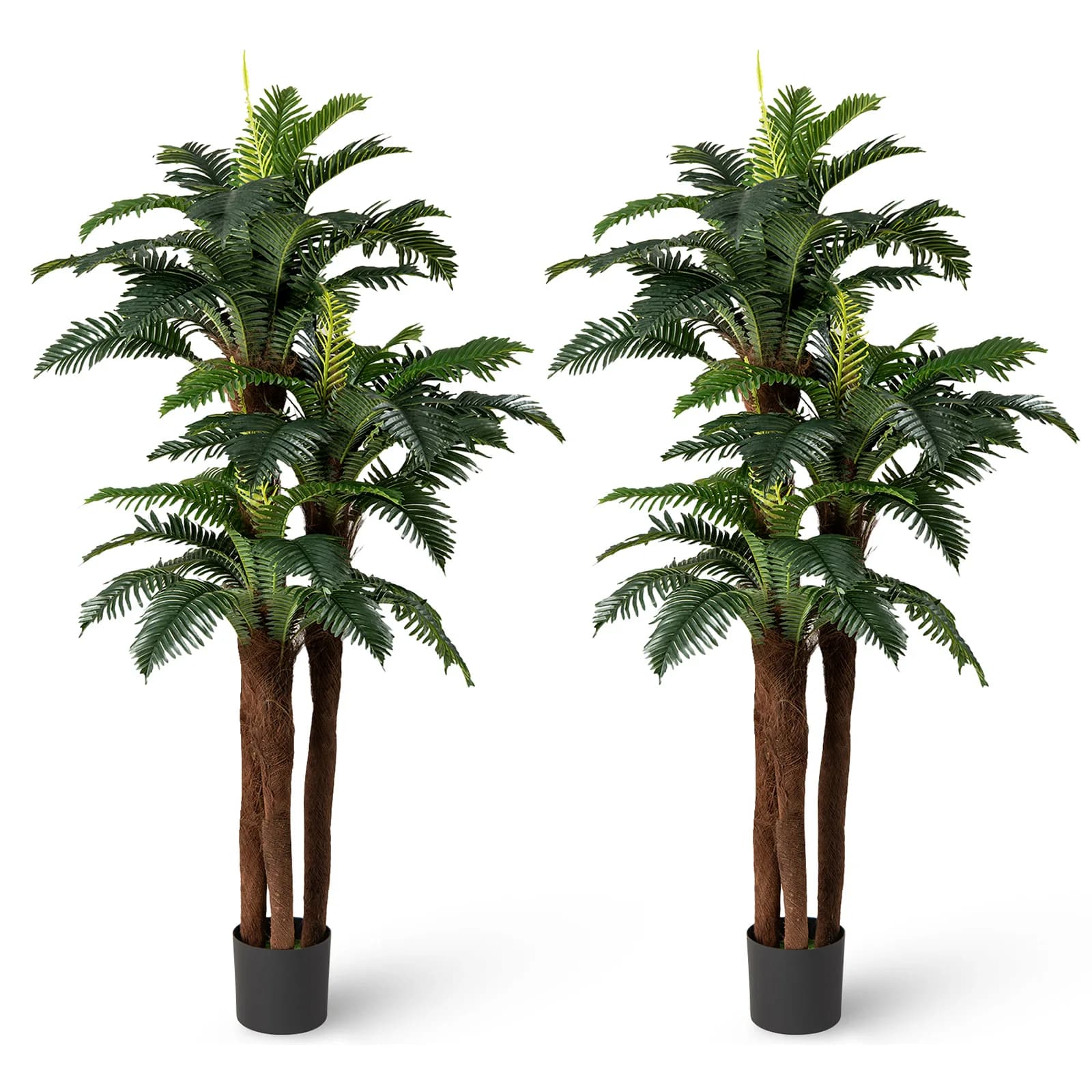 Pack of 2 artificial palms 6. 3 feet high tropical plant with 3 real helmets