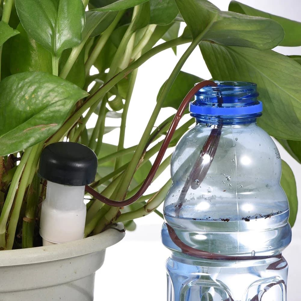 Set di 8 Pali Autoirriganti, Sonde per Irrigazione Automatica, Dispositivo di Irrigazione a Goccia per Vasi di Fiori