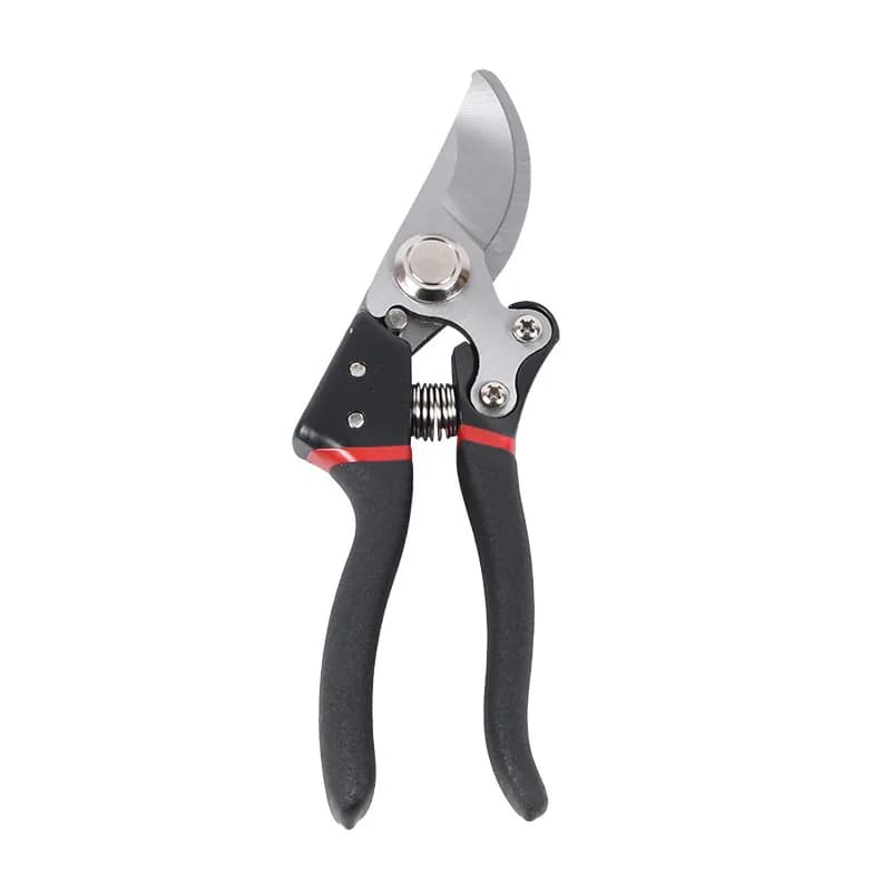 Power of sharp plants Garden Potting Shrubs Garden Scissors Steel scissors Tools for shears for branches 20 pieces Wholesale Price