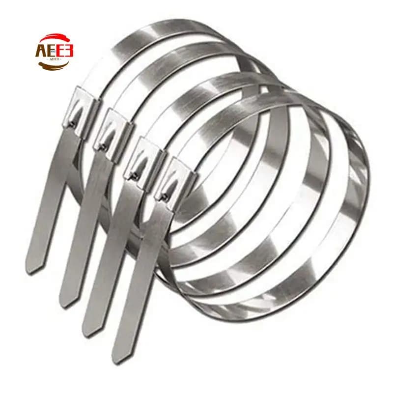 AEE3-200 PCS Fascette per cavi in metallo Fascette per cavi marini Fascette per cavi di alimentazione fotovoltaica in acciaio inossidabile argento