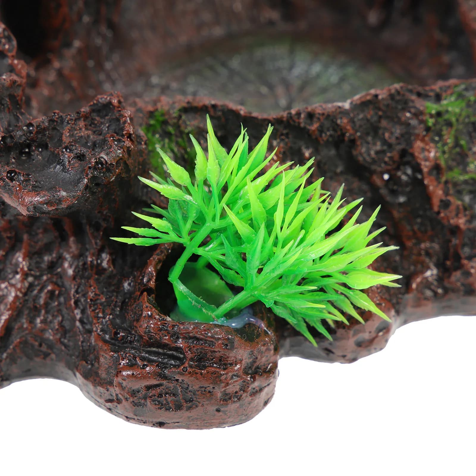 Ciotola Realistica in Resina per Rettili, Piatto per Acqua e Cibo per Tartarughe e Lucertole, Accessori per la Cura degli Animali Domestici
