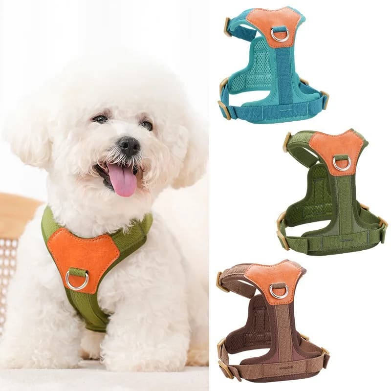 Pettorina per Cani Morbida, Confortevole e Ventilata, Stile di Alta Gamma, Riflettente, Antiscivolo, con Guinzaglio in Pelle