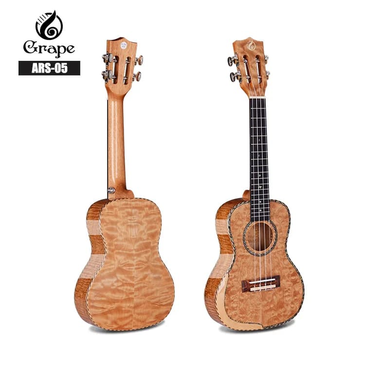 Corde per ukulele Aquila elettrica per ukulele da concerto OEM con custodia Ukulele