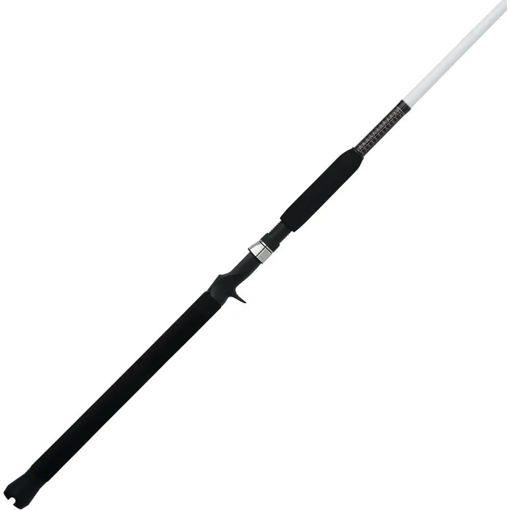 Canna da Pesca Spinning Speciale
