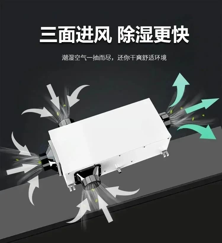 Deumidificatore Silenzioso a Tubo per Soffitto, per Seminterrati e Magazzini di Ville, Essiccatore d'Aria Efficiente per Spazi Umidi