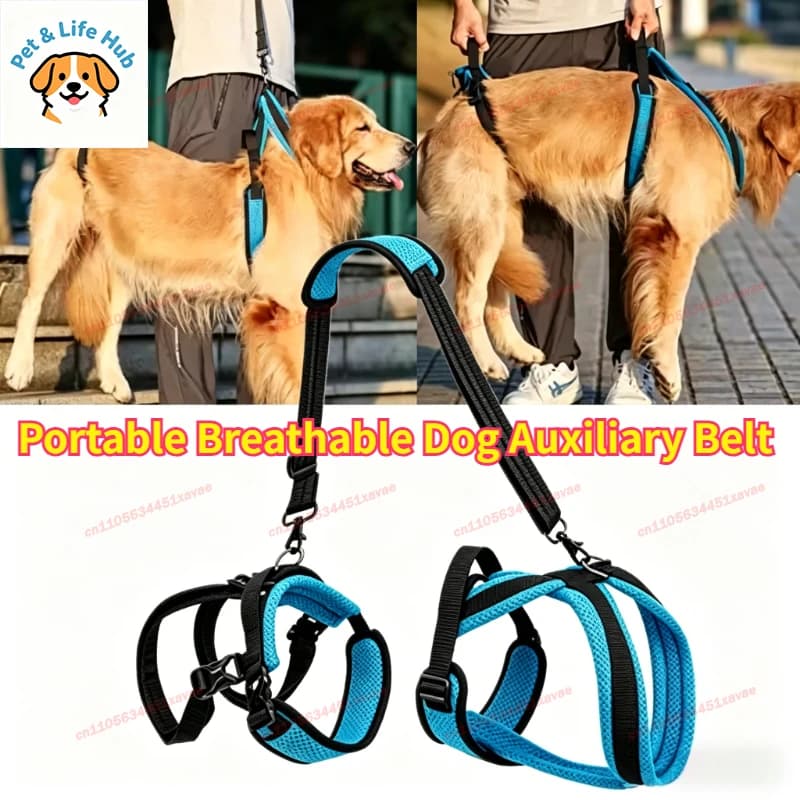 Cintura Ausiliaria Portatile e Traspirante per Cani, Imbracatura di Sollevamento per Animali Domestici, Supporto per la Riabilitazione di Cani Disabili o Feriti