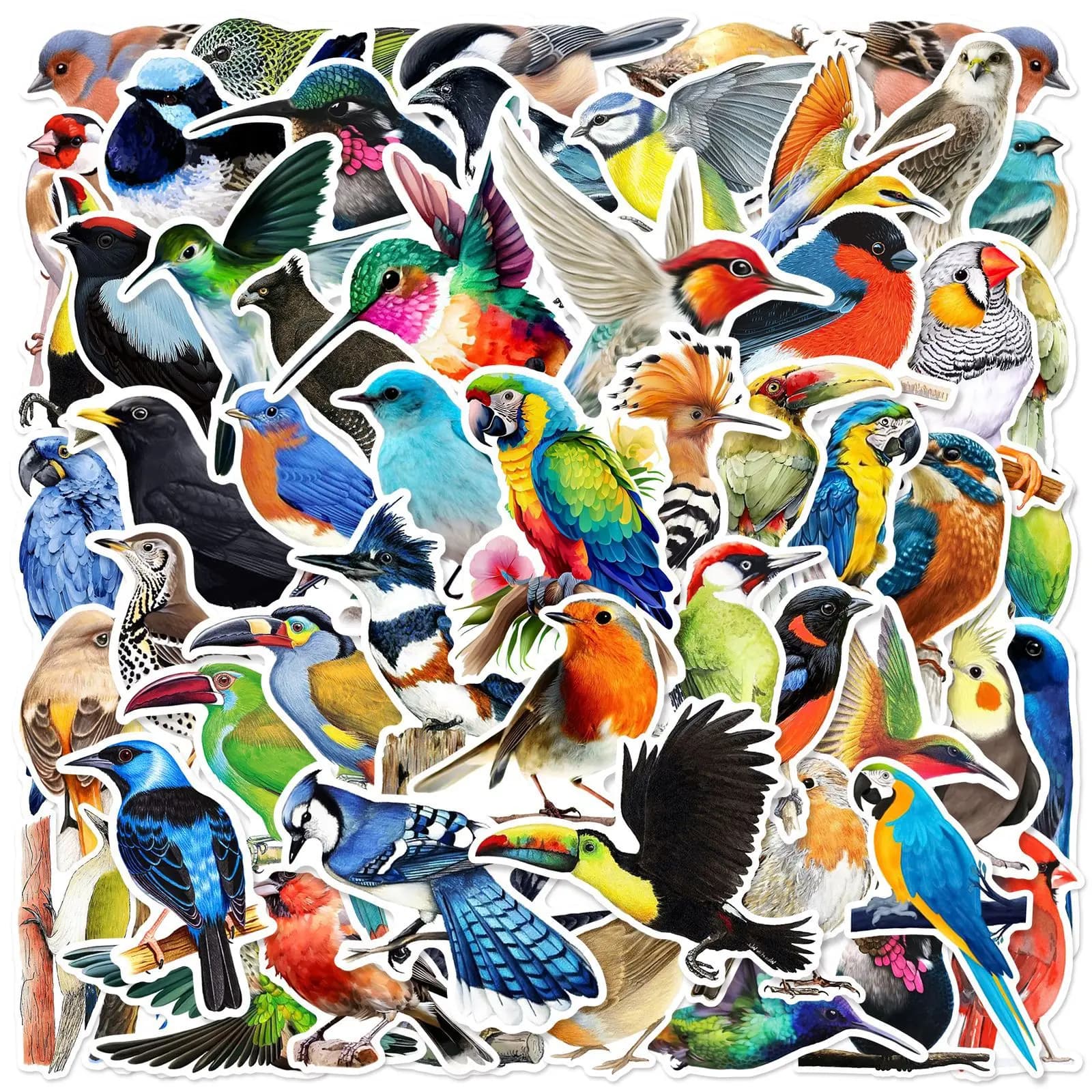 50 pezzi colorati uccelli animali cartoni animati graffiti adesivi telefono fai da te chitarra laptop notebook valigia tazza adesivo impermeabile giocattolo per bambini