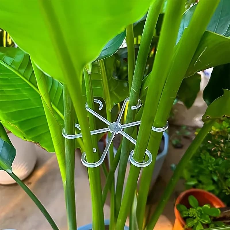Clip di Fissaggio per Piante (4 Pezzi) - Ausilio per Giardinaggio, Finitura Rami, Fascia Anti-Caduta, Supporto per Raccolta Steli Vegetali