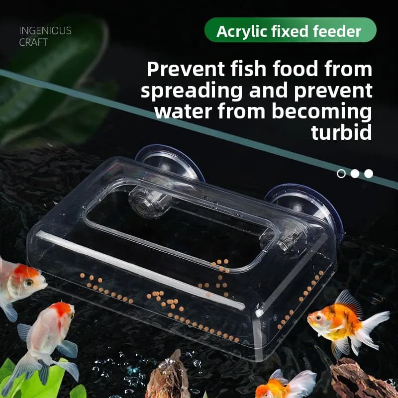 Anello di alimentazione per acquario Nai Chong, contenitore per alimenti per pesci galleggiante in acrilico trasparente, previene la diffusione di cibo per Betta, mangiatoie di superficie e gamberetti