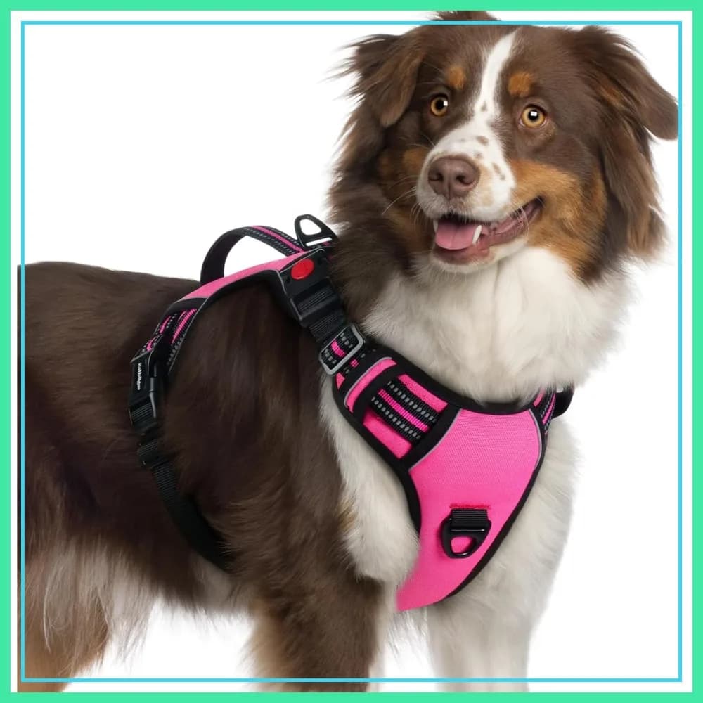 No Pull Dog Harness for Large Dogs, Adjustable Reflective Vest with Handle, 2 Leash Clips, Pink, XL