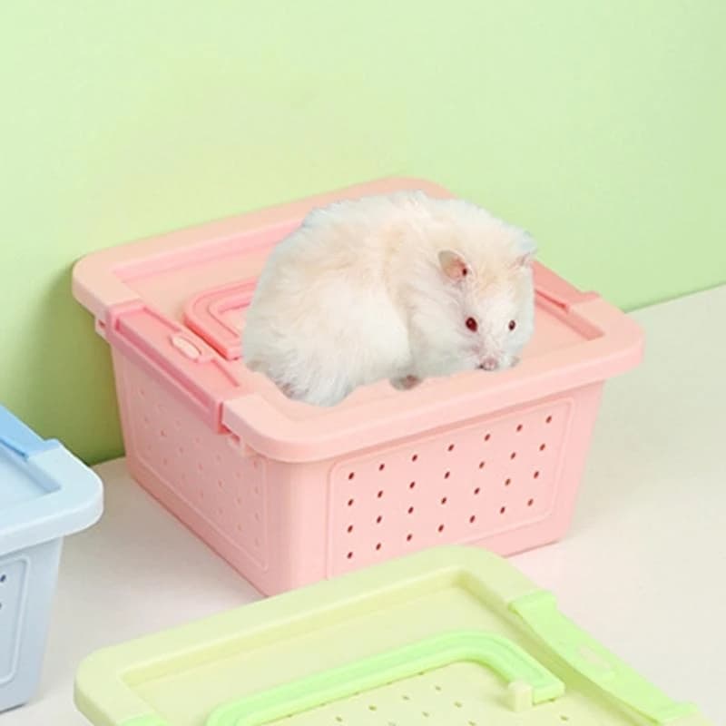 Trasportini per piccoli animali Gabbia per animali domestici per scatola da viaggio per piccoli animali da esterno Forniture per
