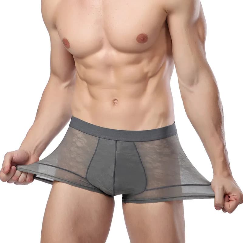 Intimo Boxer da uomo Sexy Ultra sottile Strectch See Through mutandine seta di ghiaccio traspirante a vita media mutande solide slip maschili