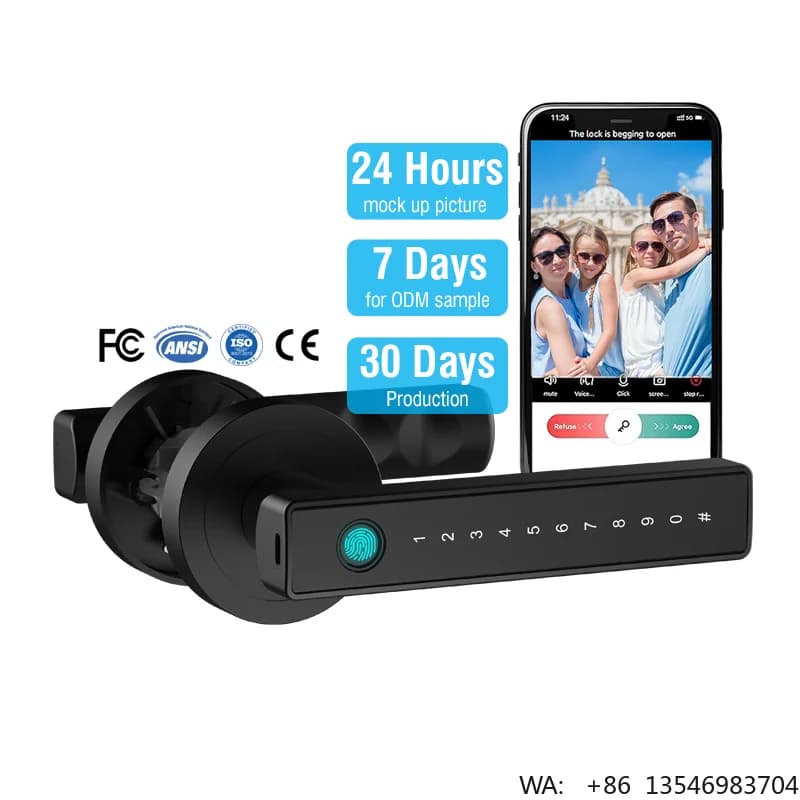 Te'an Electronic Lock Waterproof Digital Door Handle Lever Lock Aluminumwith Door Fingerprint Code for Home Smart Lock App