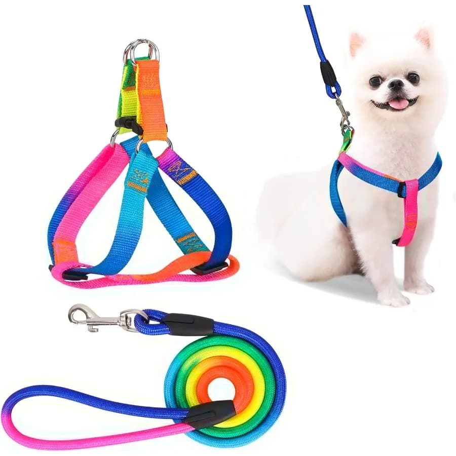 Set guinzaglio per imbracatura per cani regolabile senza tirare Pettorina per animali in nylon sicura con guinzaglio per passeggiate all'aperto per cani Raiow medio