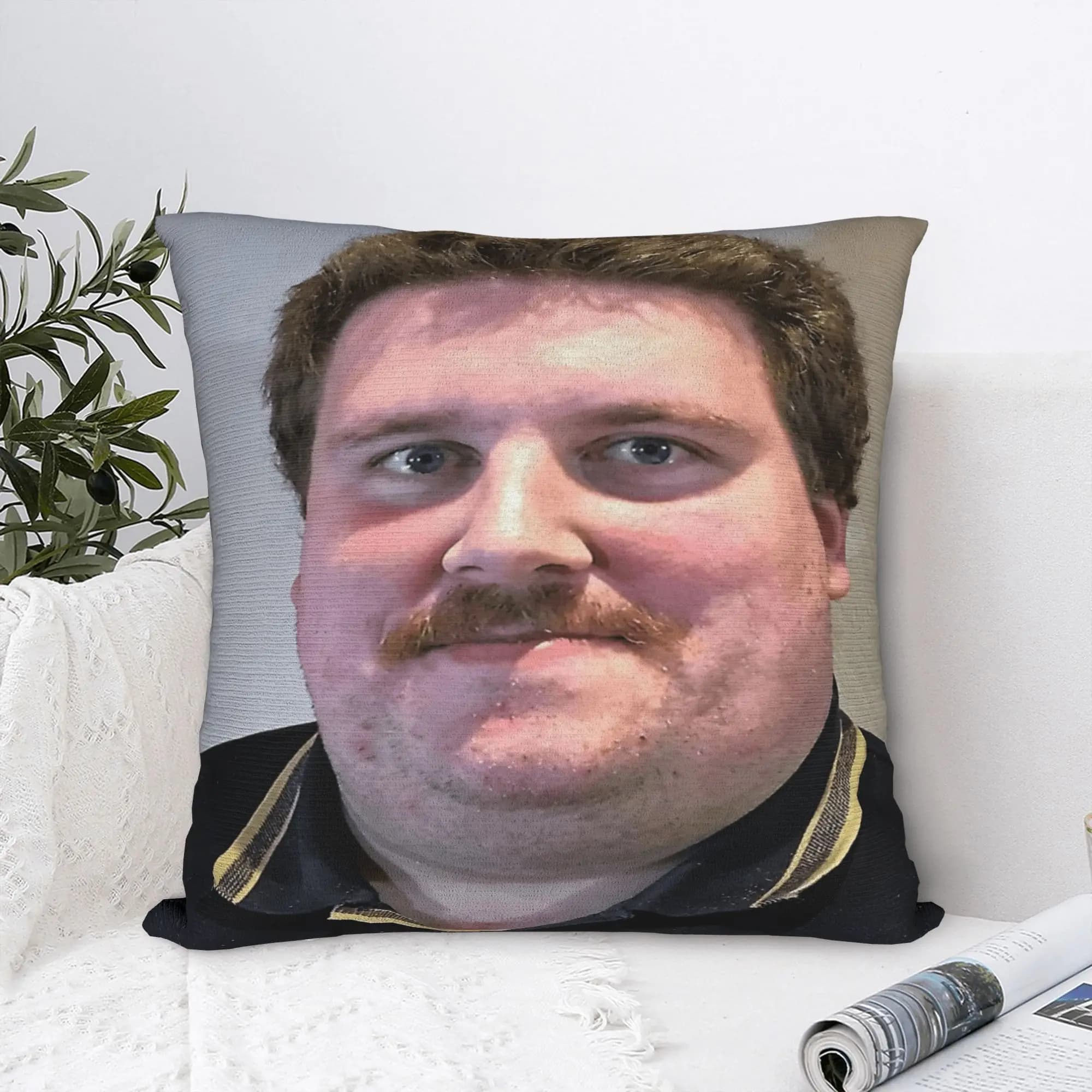 Drachenlord Poster Rainer Winkler The Superstar Original Pillow Case Comfy Pillow Cover Morden Pillowcases For Sofa Home Decor