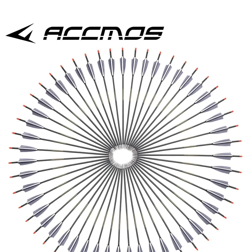 ID6.2mm Frecce in carbonio per tiro con l'arco 30/31 pollici Colonna vertebrale da caccia 300-800 Punta di freccia sostituibile con alette di piume da 4 pollici per la pratica del bersaglio
