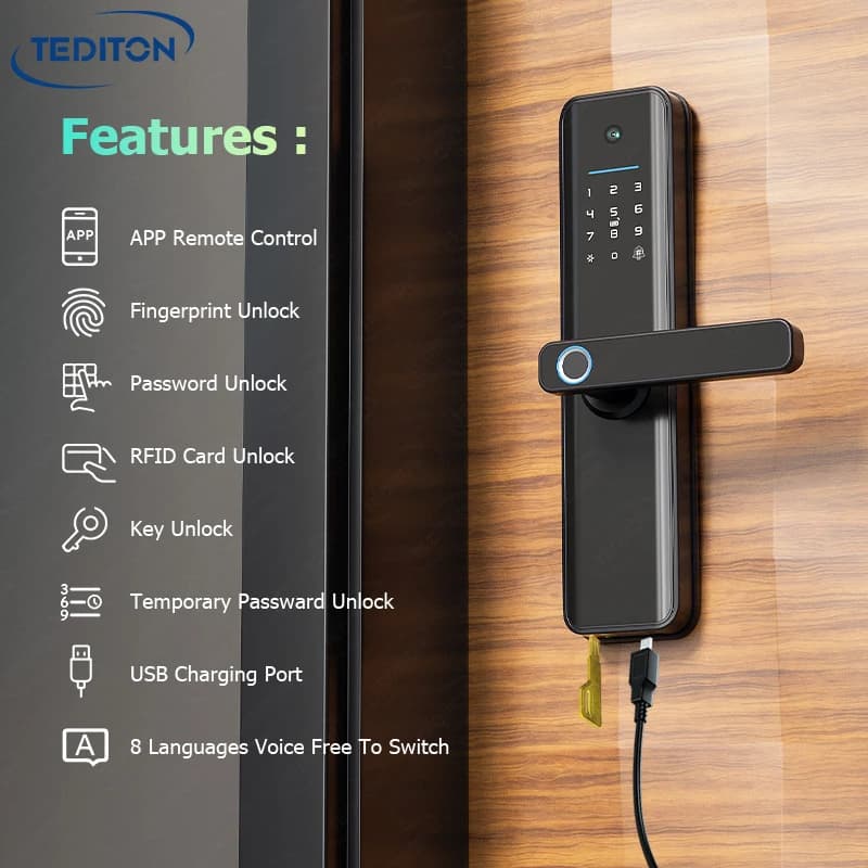 Tediton Lock Manufacturers Chapas Inteligentes Wifi Tuya Smart Life App Password Mortise Lock Smart Door Lock With Camera