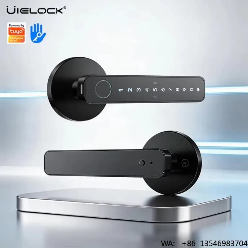 Serratura per Porta TTlock con Maniglia Biometrica, Cilindro a Leva C, Cerradura Inteligente