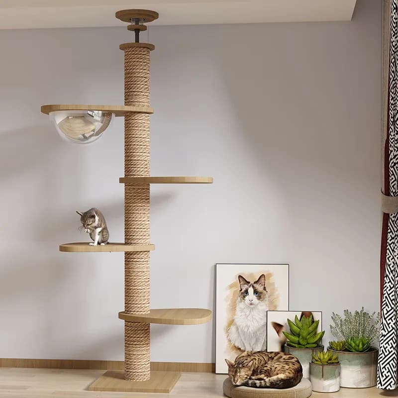 Grande villa per gatti: albero per gatti tutto in uno con capsula spaziale, struttura da arrampicata e nido
