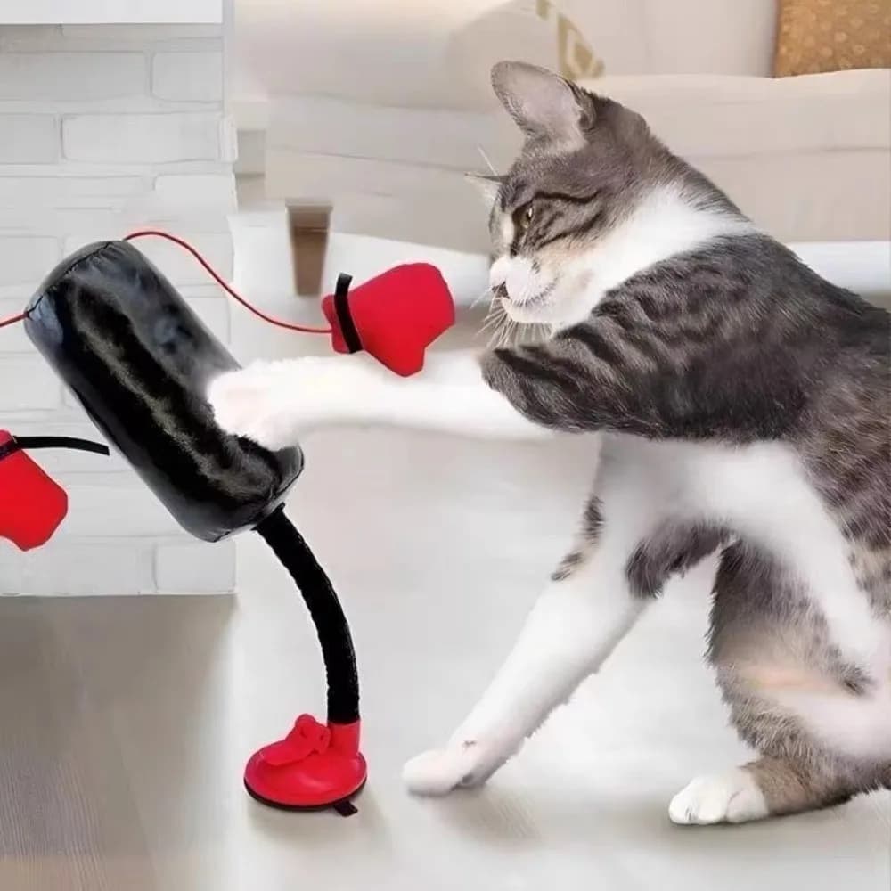 Creative Cat Boxing Suction Cup Base Self-Play Interactive Cat Boxing Gloves Standing Pet Punching Bag Boredom Relief