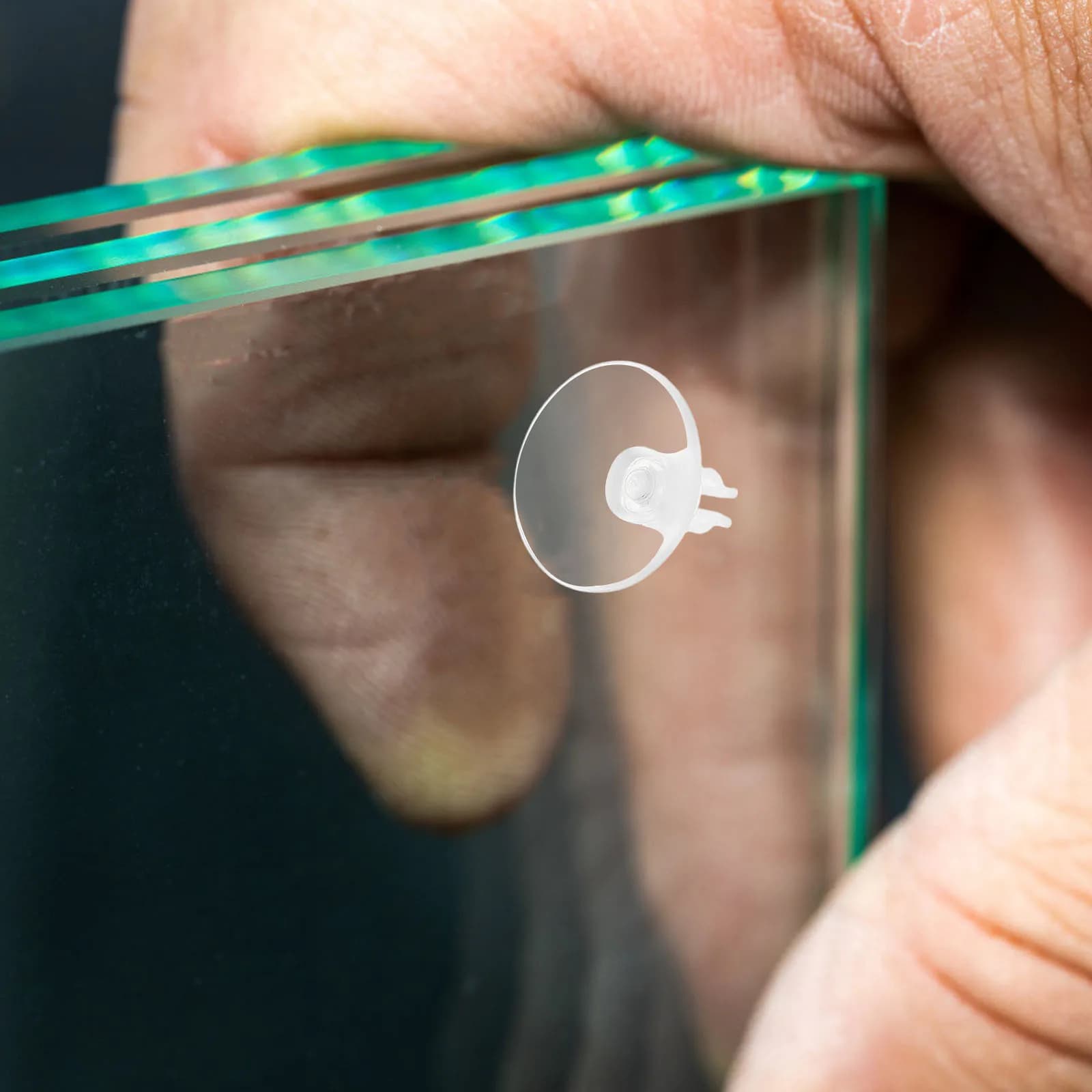 20 clip a ventosa per luci trasparenti mini ganci per luci grucce per vacanze all'aperto clip per luci a corda supporti di aspirazione in vetro