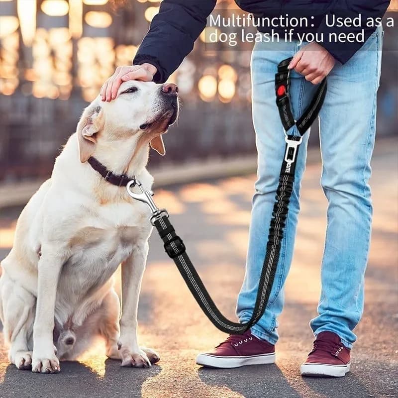 Cintura di Sicurezza per Cani da Auto, Imbracatura Regolabile con Cinghia Elastica Ammortizzante 2in1, Guinzaglio e Cinghia di Contenimento per Animali Domestici