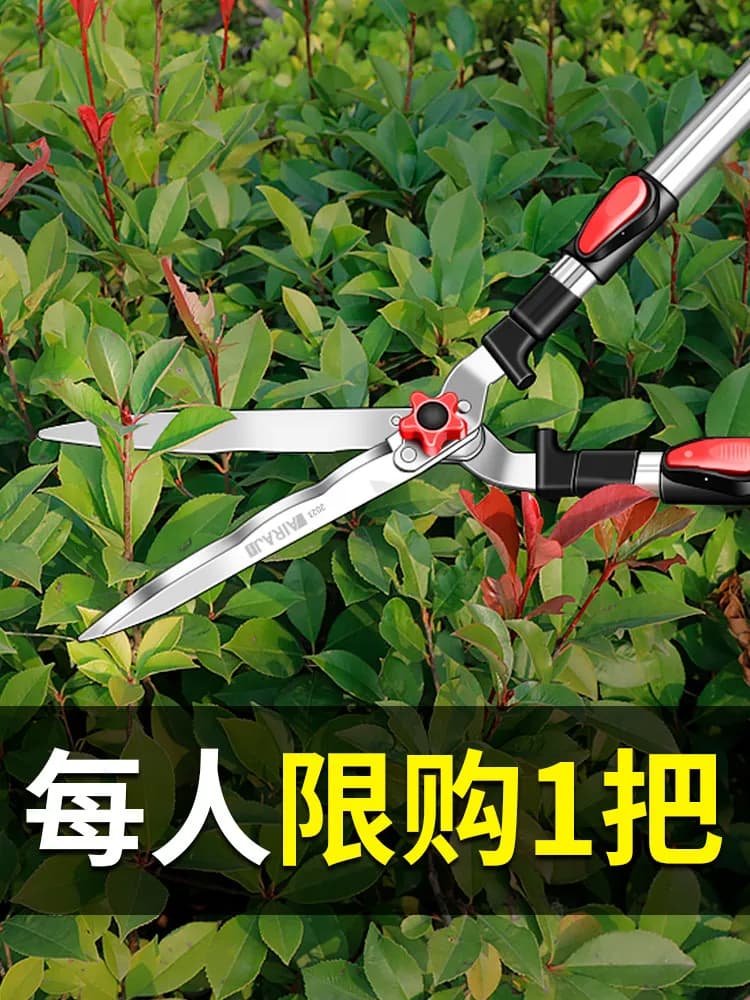 Forbici da giardinaggio, cesoie per potatura di alberi da frutto e prati, attrezzi per giardinaggio, cesoie per siepi